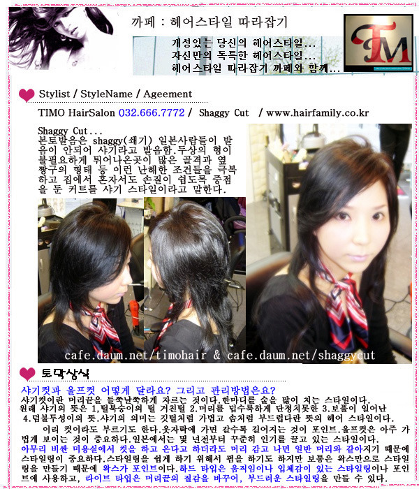 티모헤어 이미지