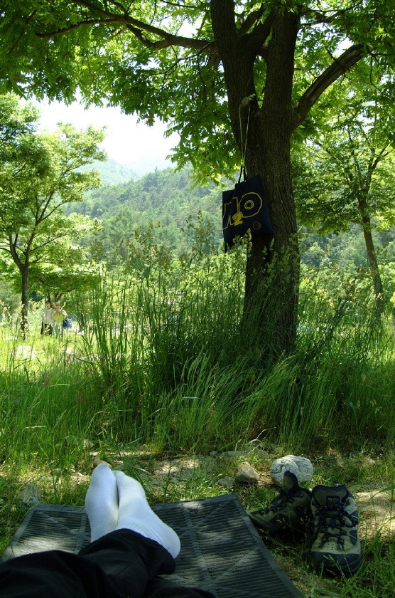 나무그늘아래 이미지