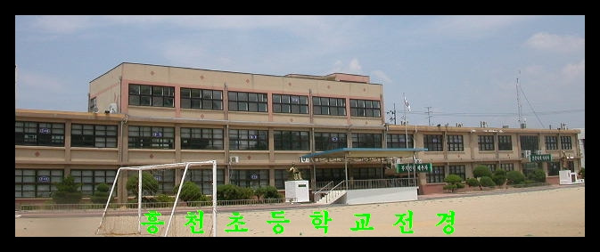 흥천초교 이미지