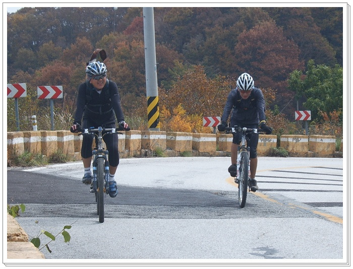 야시 이미지