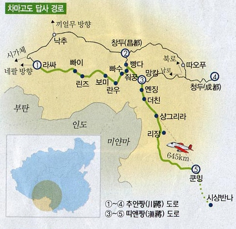 루트 이미지