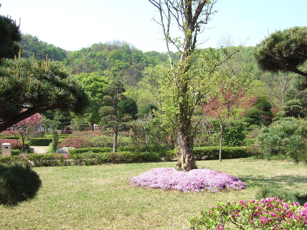 이미지를