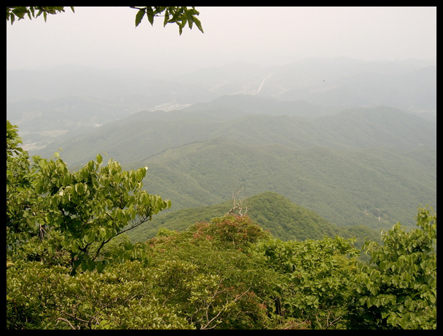 산골산내음 이미지