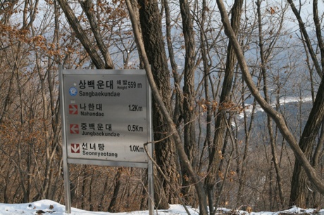 삼태기 이미지